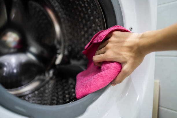 Mold Odor Removal Services in Puget Island, WA