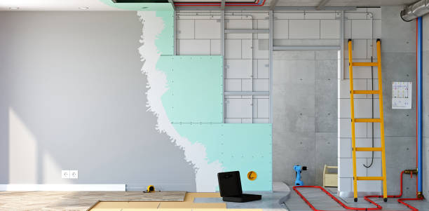 Best Asbestos and Lead Testing During Mold Inspection  in Puget Island, WA