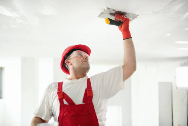 Best Mold Odor Removal Services  in Puget Island, WA
