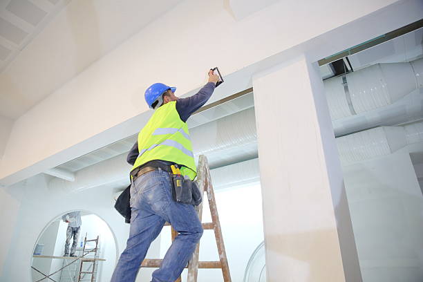 Puget Island, WA Mold Removal Company