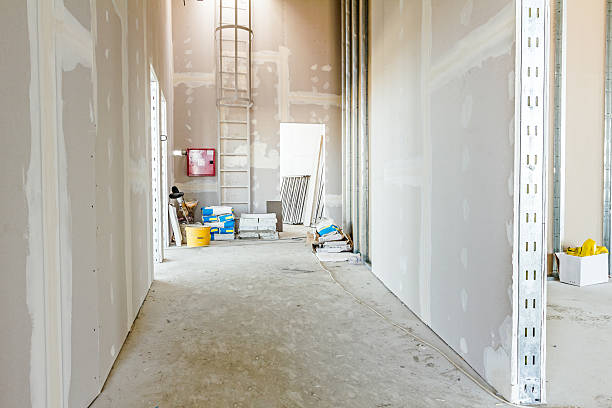 Best Attic Mold Removal  in Puget Island, WA